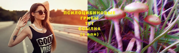 бошки Вязьма