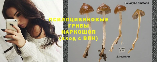 бошки Вязьма