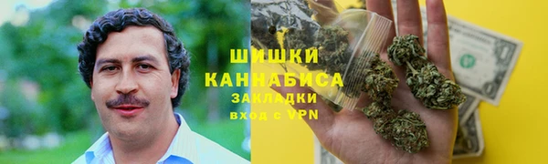 тгк Горнозаводск
