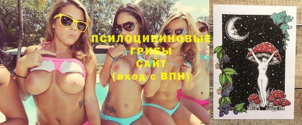 mdpv Вяземский