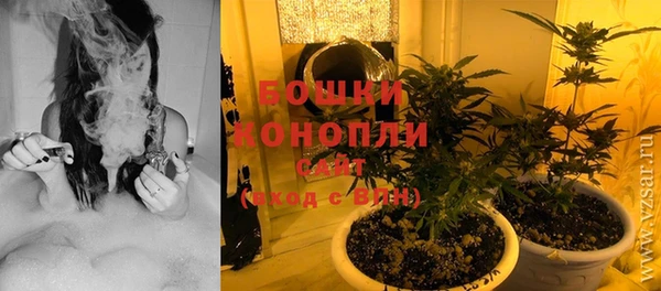 mdpv Вяземский